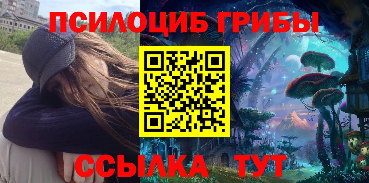 Псилоцибиновые грибы GOLDEN TEACHER Нижнеудинск