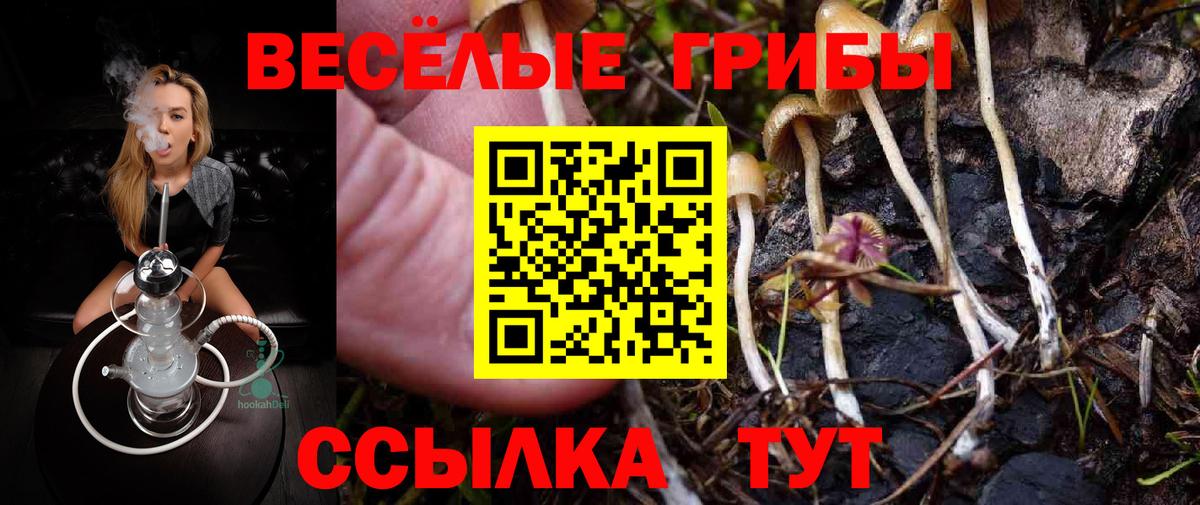 Нижнеудинск  Псилоцибиновые грибы Psilocybe  Вход с VPN 